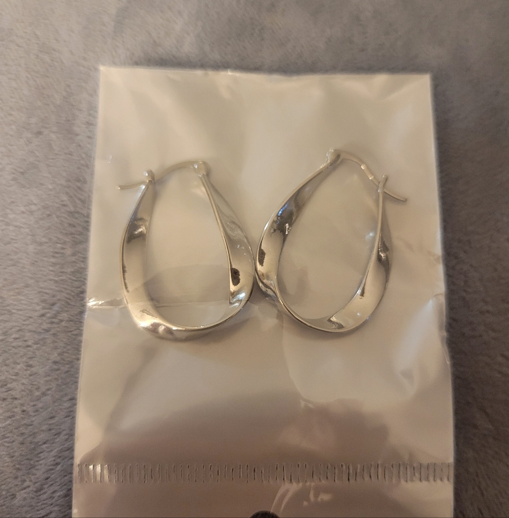 Elegant Silver Hoop Earrings